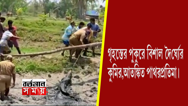 গৃহস্থের পুকুরে বিশাল দৈর্ঘ্যের কুমির,আতঙ্কিত পাথরপ্রতিমা।