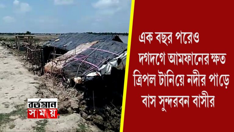 এক বছর পরেও দগদগে আম্ফানের ক্ষত,ত্রিপল টানিয়ে নদীর পাড়ে বাস সুন্দরবনবাসীর।