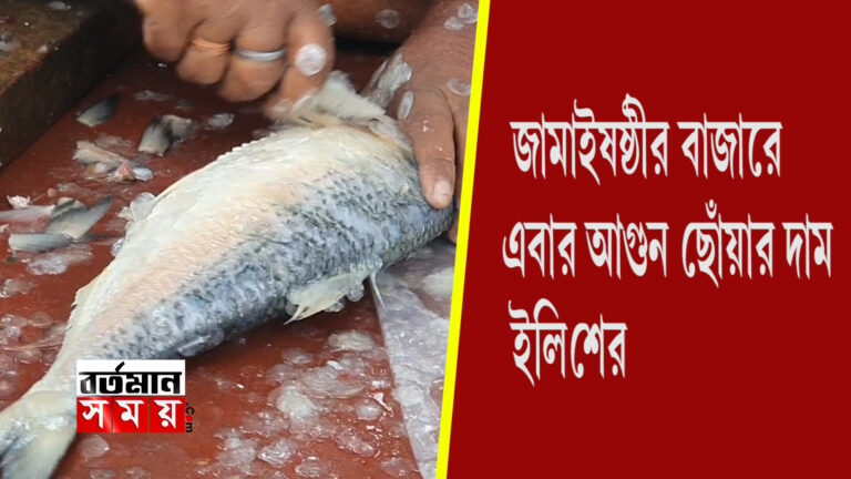 ।।জামাইষষ্ঠীর বাজারে এবার আগুন ছোঁয়ার দাম ইলিশের।।