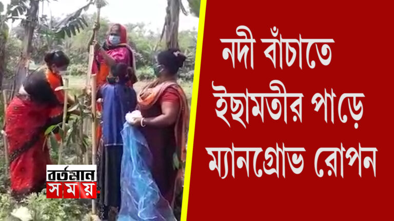 ।বিশ্ব পরিবেশ দিবস উপলক্ষে ইছামতীর পাড়ে ম্যানগ্রোভ রোপন ।।