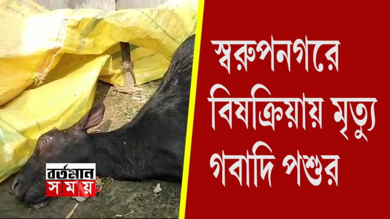 বিষক্রিয়ায় মৃত্যু গবাদি পশুর: