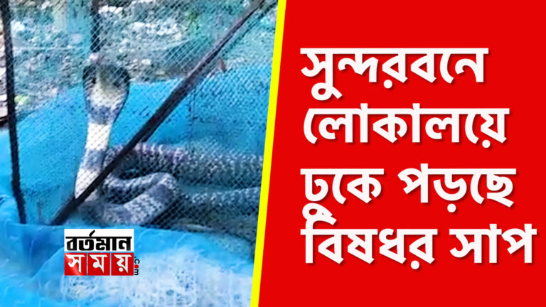 ইয়াস পরবর্তী সুন্দরবনে লোকালয়ে ঢুকে পড়ছে বিষধর সাপ, আতঙ্কে সুন্দরবনবাসী।