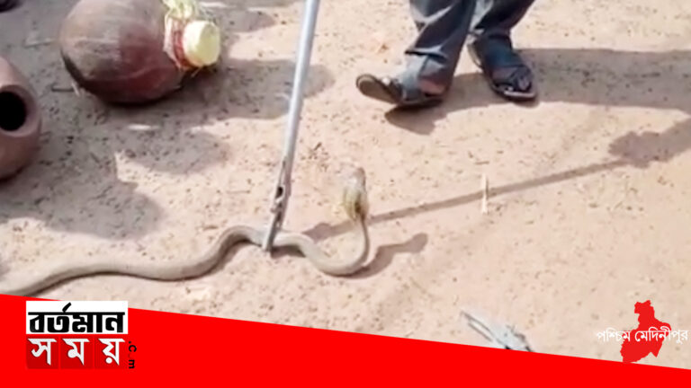 পশ্চিম মেদিনীপুরে সাত সকালে বাড়ির ভিতরে জোড়া বিষধর।