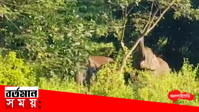 20200603_130750.00_01_14_29.Still720