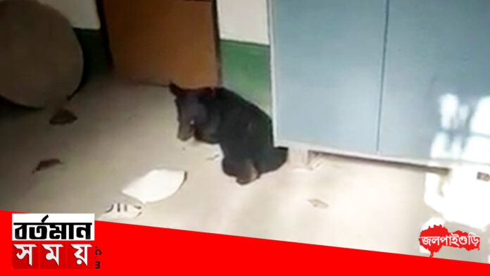 20200603_130750.00_01_17_08.Still882