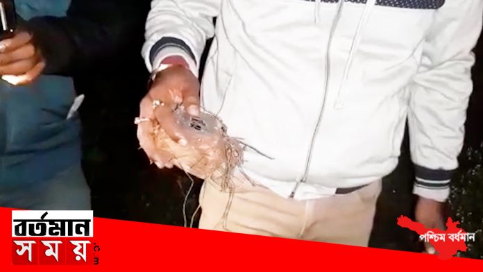 20200603_130750.00_01_15_05.Still1079