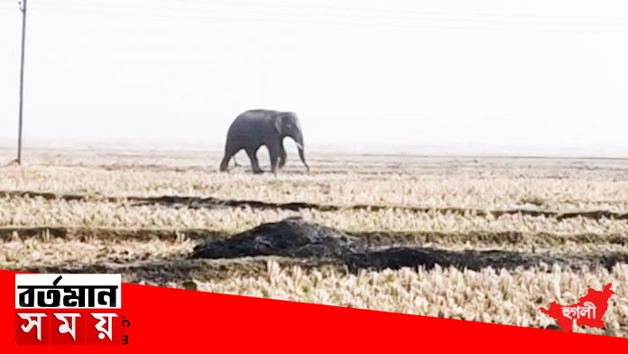 20200603_130750.00_01_15_05.Still1088