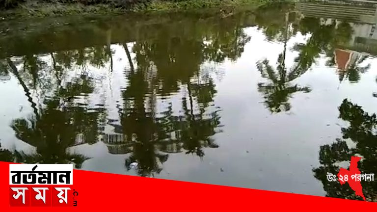 নিখোঁজ শিশুকন্যার পুকুর থেকে মৃতদেহ উদ্ধার