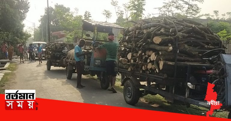 সাতসকালেই ফলন্ত তিন গাছের খুন! নদীয়ার শান্তিপুরে, ঘটনাস্থলে পুলিশ।