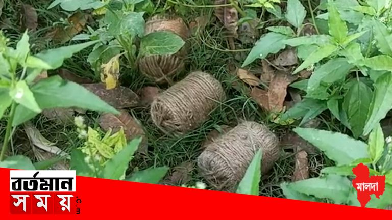 মালদহে ফের বোমা উদ্ধার