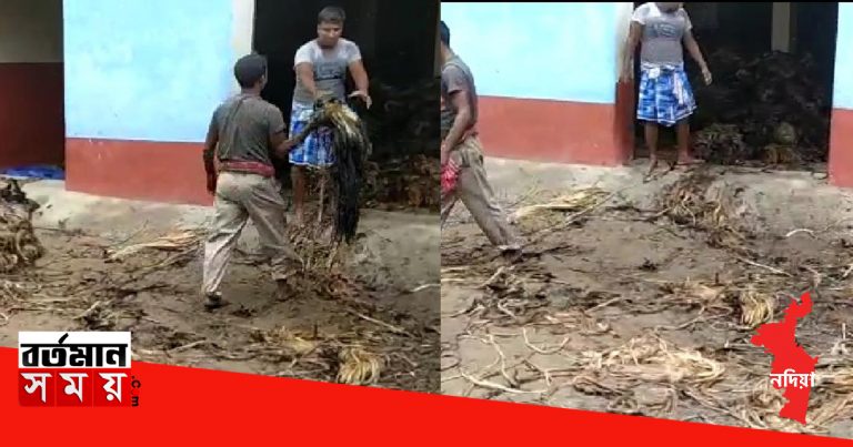 চাপড়ায় পাটের গোডাউনে হঠাৎই ভয়াবহ আগুন, ক্ষতিগ্রস্ত প্রায় কয়েক লক্ষ টাকা।