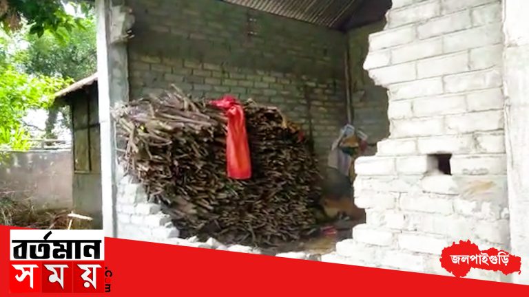 ফের গৃহস্থের বাড়িতে হানা জংলি হাতির।