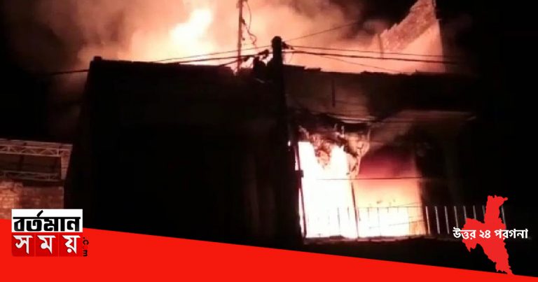 ভয়াবহ অগ্নিকাণ্ড বনগাঁয়, ভস্মীভূত গোটা দোকান।