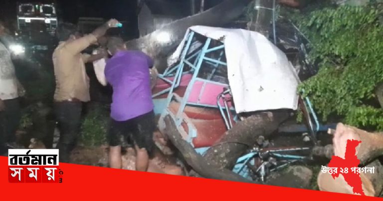 দত্তপুকুরে মেহগনি গাছ পড়ে জখম টোটো চালক।