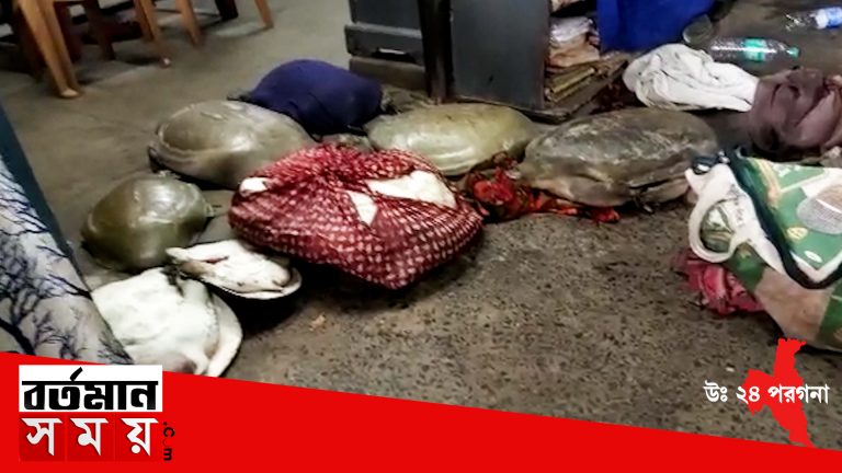 ফের নৈহাটি স্টেশন থেকে উদ্ধার বিপুল পরিমানে কচ্ছপ