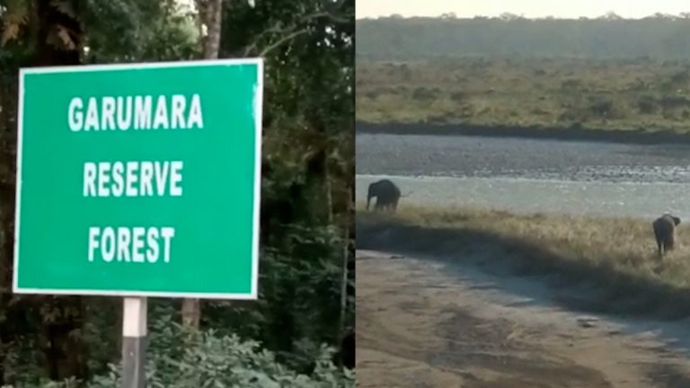 তিন মাসের জন্য বন্ধ হয়ে গেল ডুয়ার্সের সংরক্ষিত বনাঞ্চল ও জাতীয় উদ্যান