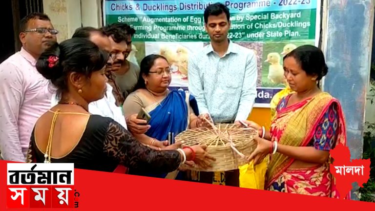 প্রতি পালনের জন্য ৮০০ জন বেনিফিসারীদের, মুরগির বাচ্চা প্রদান