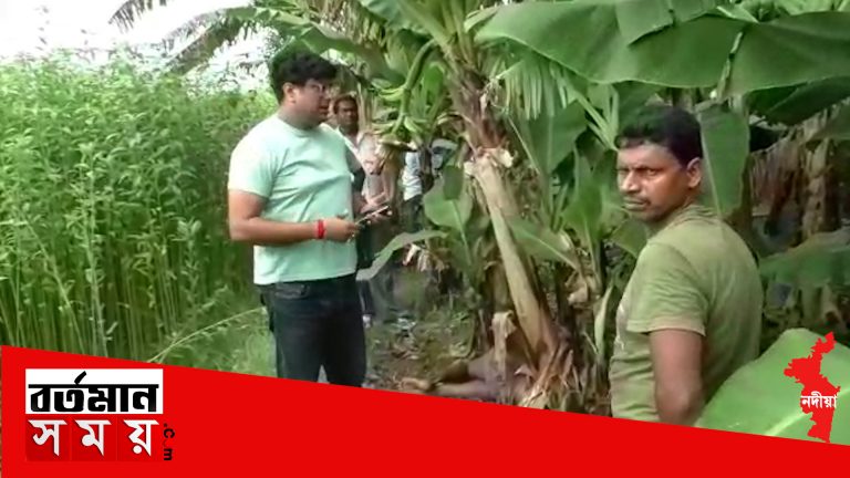 জমি বিবাদের কারণে খুন