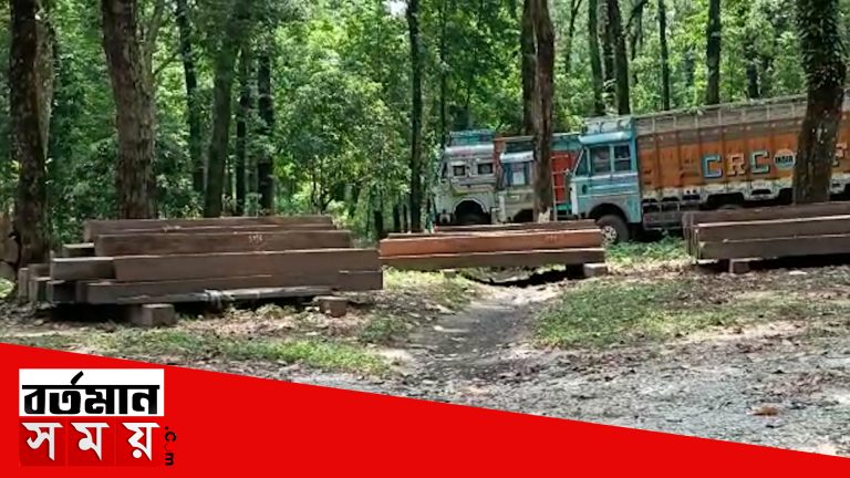 বিপুল পরিমাণ অবৈধ বার্মা টিক কাঠ সহ লরি আটক,গ্রেফতার ২
