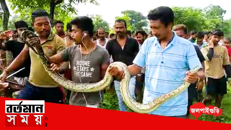 ফের মাছ ধরার জালে আটকে অজগর