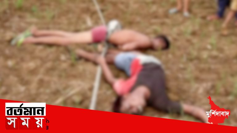বিদ্যুতের তার চুরি করতে গিয়ে বিদ্যুৎপৃষ্ঠ হয়ে দুই চোরের মৃত্যু