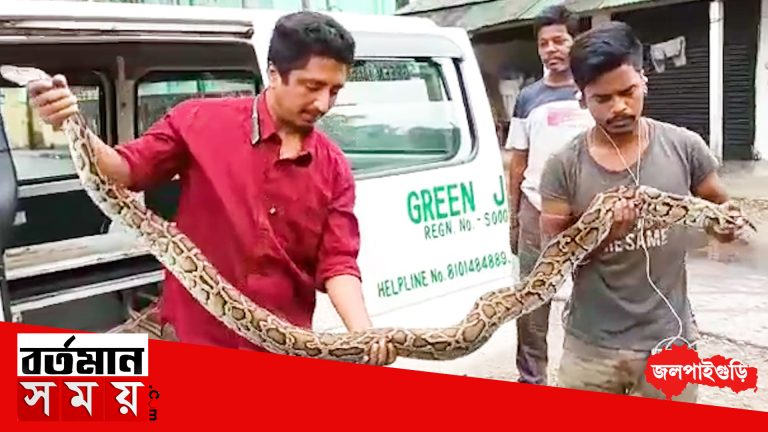 জালে নেই মাছ,জমিতে মাছ ধরার জালে আটকে অজগর