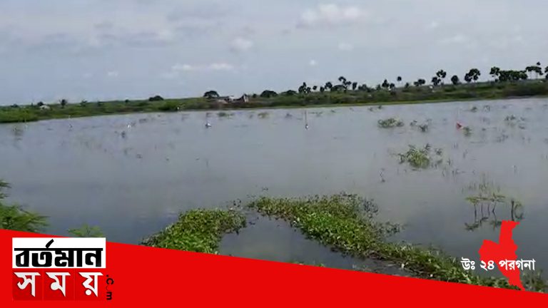 সীমান্তে বিল বল্লি মাছের ঘেড়িতে কয়েক লক্ষ টাকার লাগাতার মাছ চুরি।