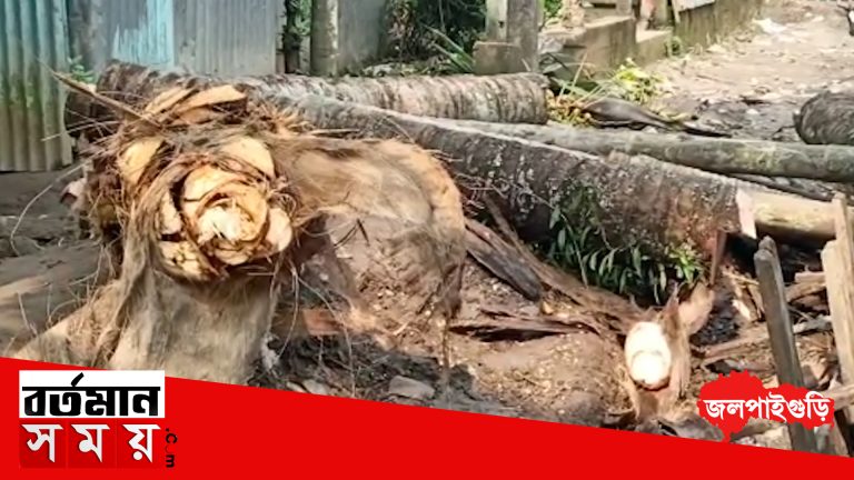 গাছ কাটতে গিয়ে বিদ্যুৎপৃষ্ট হয়ে যুবকের মৃত্যু
