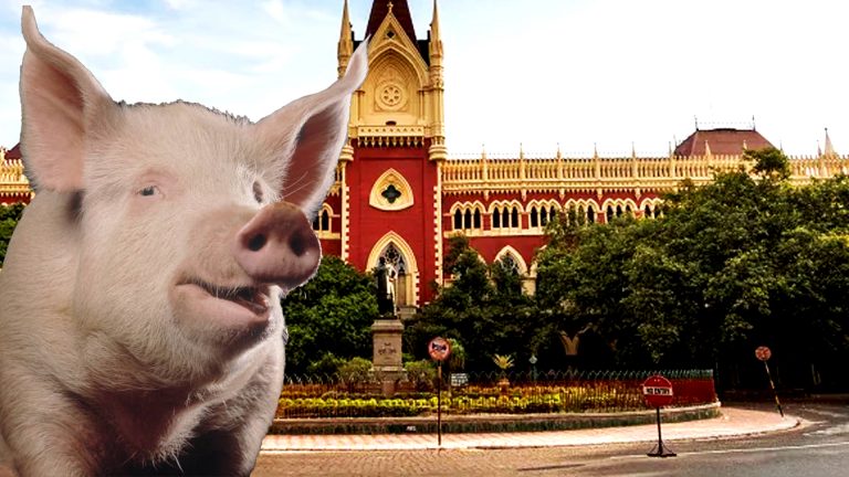 নিখোঁজ ঘনাকে খুঁজতে কী করছে পুলিশ?আদৌ কি পুলিশ তৎপর?প্রশ্ন হাই কোর্টের ?