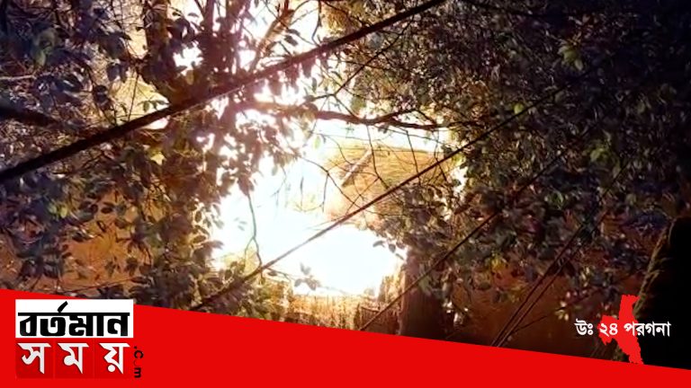 ফের ব্যারাকপুর বটতলা এলাকায় অগ্নিকাণ্ডের ঘটনা বাড়ির ভেতরের গ্যারেজে ভস্মীভূত  ব্যক্তিগত গাড়ি