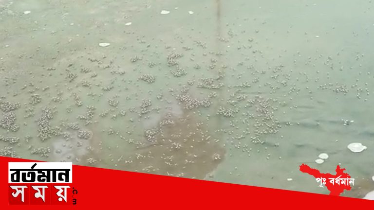 ডেঙ্গি নিয়ে সচেতন সরকার ইতিমধ্যেই শুরু হয়েছে ডেঙ্গি নিয়ে নানান সতর্কতামূলক অনুষ্ঠান।