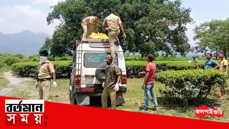 ডুয়ার্সে ফের চিতা বাঘের দেহ উদ্ধার
