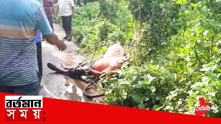 বিক্ষোভ স্থানীয়দের