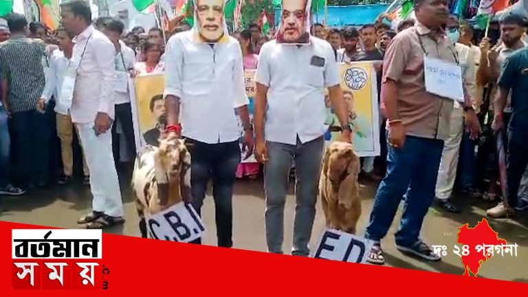 নরেন্দ্র মোদী, অমিত শাহের হাতে ইডি, সিবিআই-কে ছাগল সাজিয়ে তৃণমূলের ধিক্কার মিছিল ক্যানিংয়ে