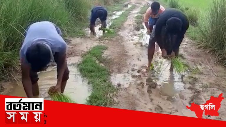 সবুজ সাথী প্রকল্পে সাইকেল দেওয়া হয়েছে স্কুল থেকে পড়ুয়াদের,সেই সাইকেল নিয়ে স্কুলে যেতে পারছে না পড়ুয়ারা।