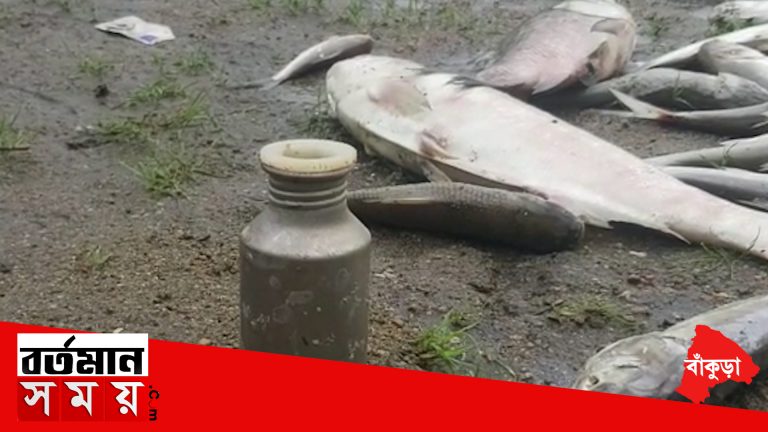বাঁকুড়ায় পুকুরের জলে বিষক্রিয়ায় জেরে মৃত্যু হলো হাজার হাজার মাছের