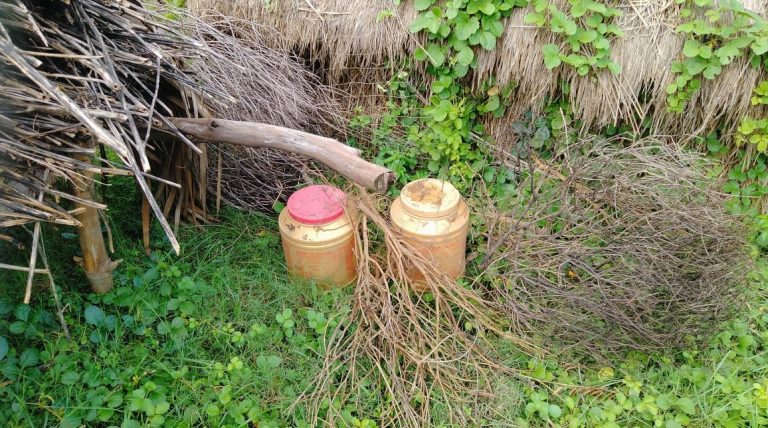 বামুনিয়া লটপুকুর পার্ক থেকে ২ ড্রাম তাজা বোমা উদ্ধার করল নানুর থানার পুলিশ।