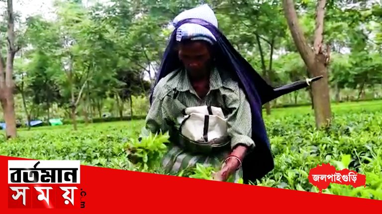 জলপাইগুড়িতে বিশ্ব পর্যটন দিবসে “চা ভ্রমণ” প্রকল্পের সূচনা