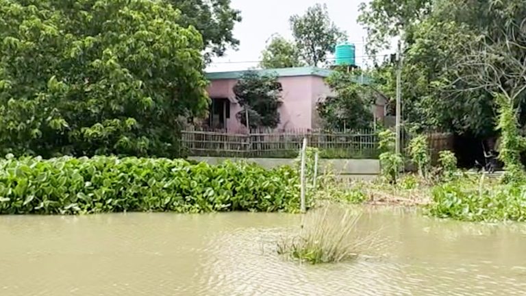  জলমগ্ন রতুয়ার মহানন্দাটোলা ও বিলাইমারি গ্রাম পঞ্চায়েত এলাকার কয়েক হাজার মানুষ