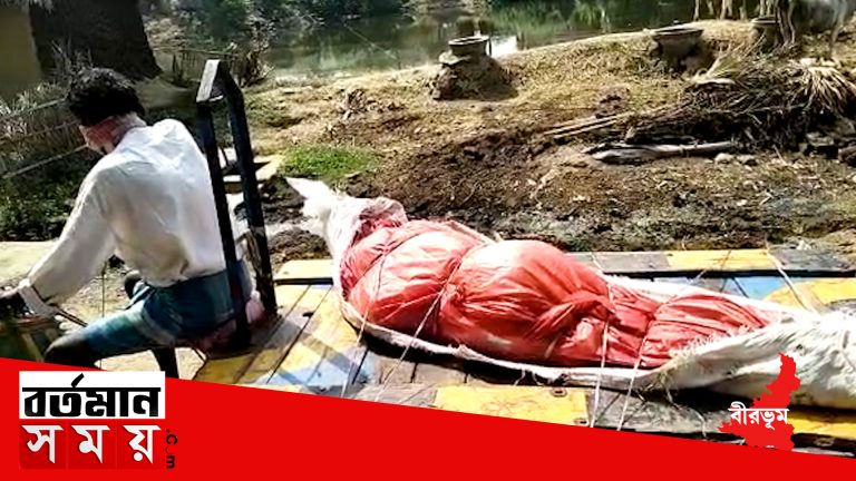 ঘটনাটি বীরভূমের মাড়গ্রাম থানার বসোয়া গ্রামে দ্বারকা নদীর ঘাটে।