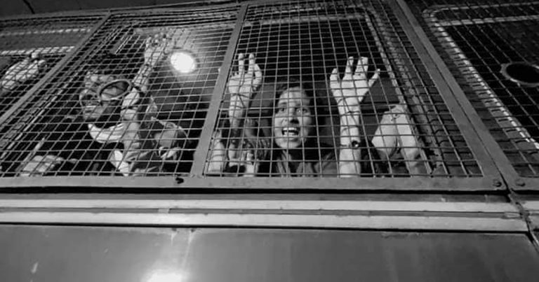 চ্যাংদোলা করে টেনে হিঁচড়ে করুণাময়ীতে আন্দোলনকারীদের তুলে দিলো পুলিশ।