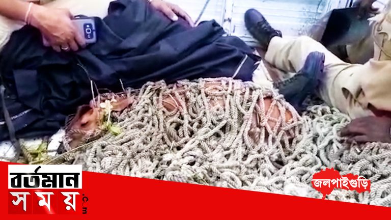 ফের ডুয়ার্সের লোকালয় থেকে হরিণ শাবক উদ্ধার