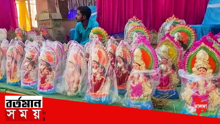 প্রতিমা নিয়ে বাজারে মৃৎশিল্পীরা, নেই তেমন বিক্রী, চিন্তার ভাজ কপালে