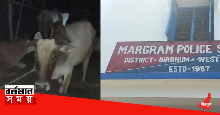 বীরভূমে ফের গরু পাচার রুখলো পুলিশ।