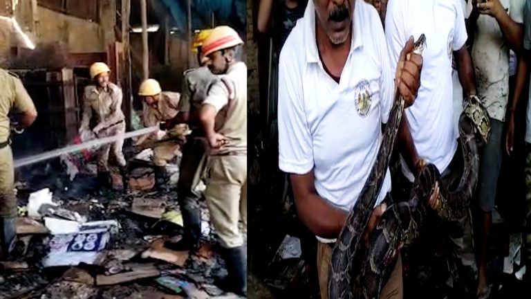 ময়নাগুড়িতে ব্যবসায়ীর গোডাউনে আগুন,তাপে ঝলসেও প্রাণ রক্ষা অজগরের।