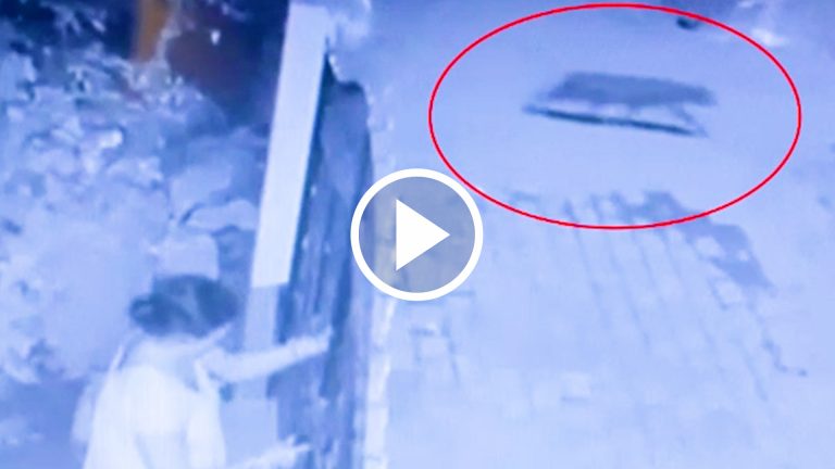 ধূপগুড়ি শহরে চিতাবাঘের আতঙ্ক?