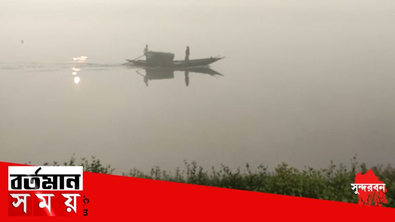 কুয়াশার চাদরে মোড়া সুন্দরবন।