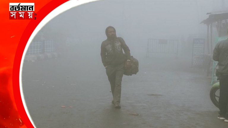 বড়দিনের সকালে কুয়াশার চাদরে মোড়া সুন্দরবন।