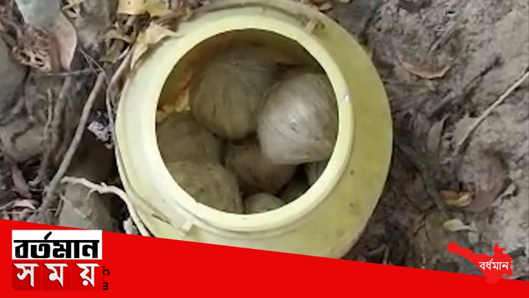 মঙ্গলকোটের প্রাক্তন উপ প্রধানের বাড়ি থেকে তাজা বোমা ও একটি আগ্নেয়াস্ত্র সহ গ্রেপ্তার এক দুষ্কৃতী।