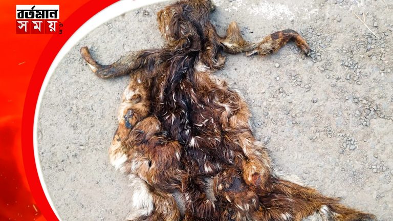 হরিণের মাংস বিক্রির অভিযোগে গ্রেপ্তার ২ দুষ্কৃতী